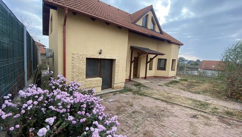 Vila Balotesti | Vedere Lac - Poză 4