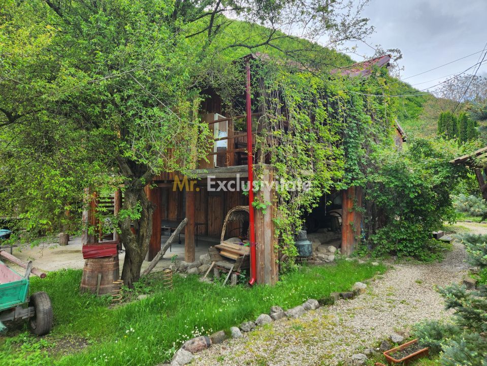 Pensiune cu Salina, Moroieni- Investitie la Cheie in Turismul Montan - Poză 7