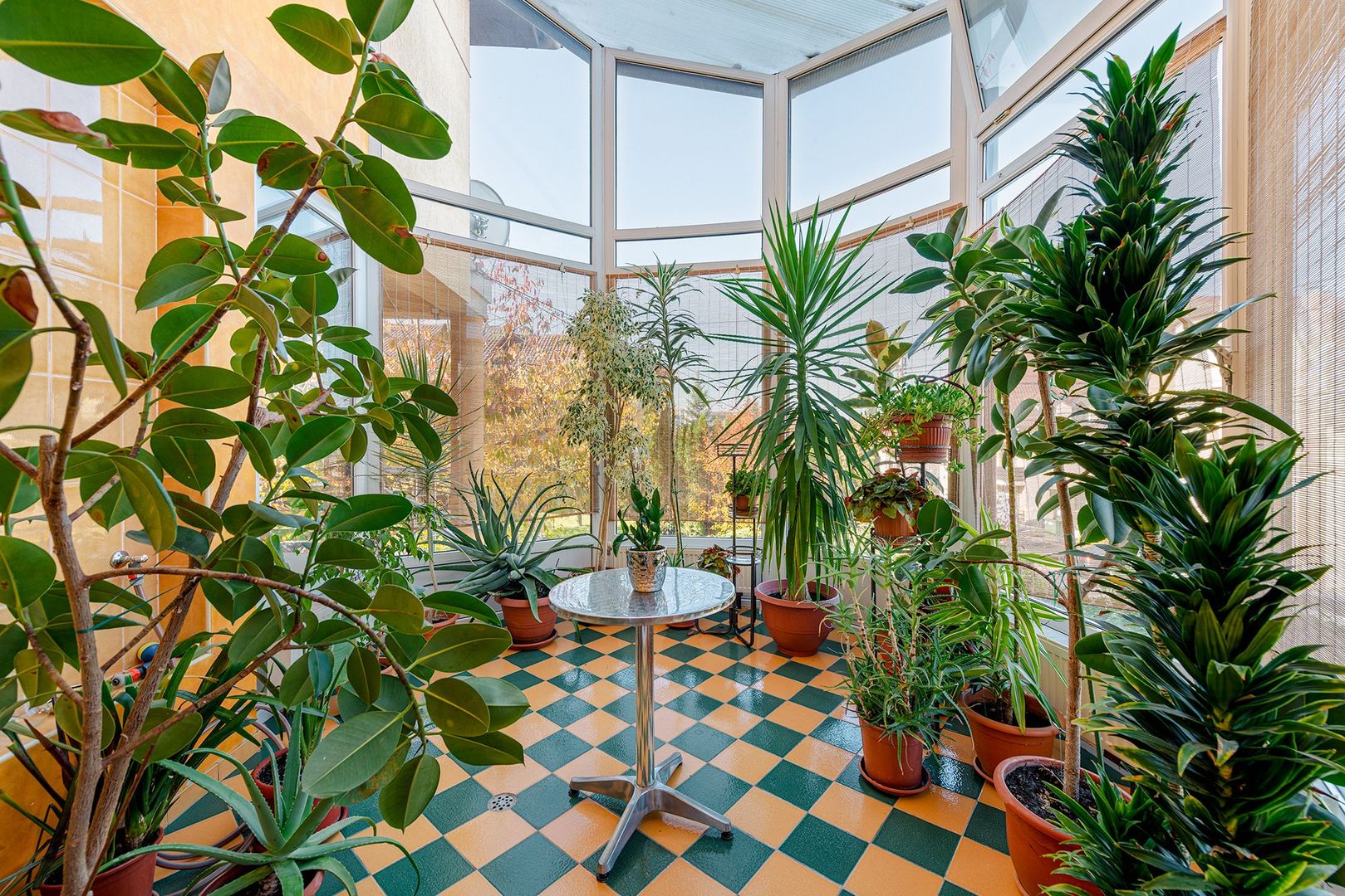 VILĂ 550 mp, LOT 1.006 mp Cartier Europa - Poză 14