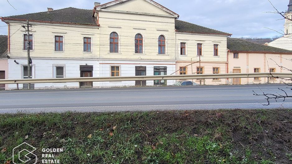 Proprietate tip conac, teren 4468 mp, oras Lipova - Poză 2