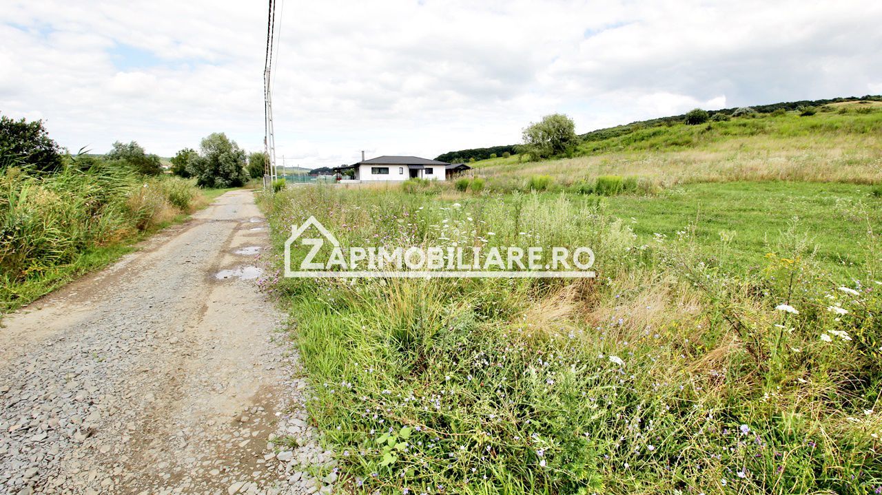 Teren 6.800mp teren cu deschidere de 100 m la drum asfaltat - Poză 4
