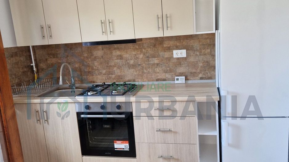 Casă de închiriat cu 4 camere, zona Bucium - Plopii fără Soț, Vladiceni - Poză 1