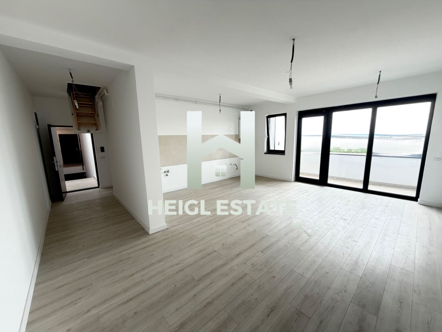 Apartament cu 2 camere si pod in Giroc - Poză 1
