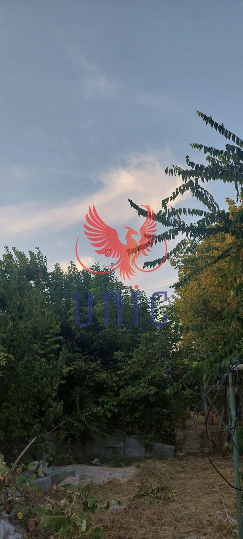 Casa Zona Agronomie - Poză 2