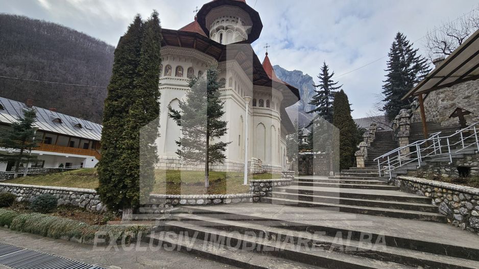 Casa de vacanta cu potential de Pensiune Turistica, Ramet - Poză 18