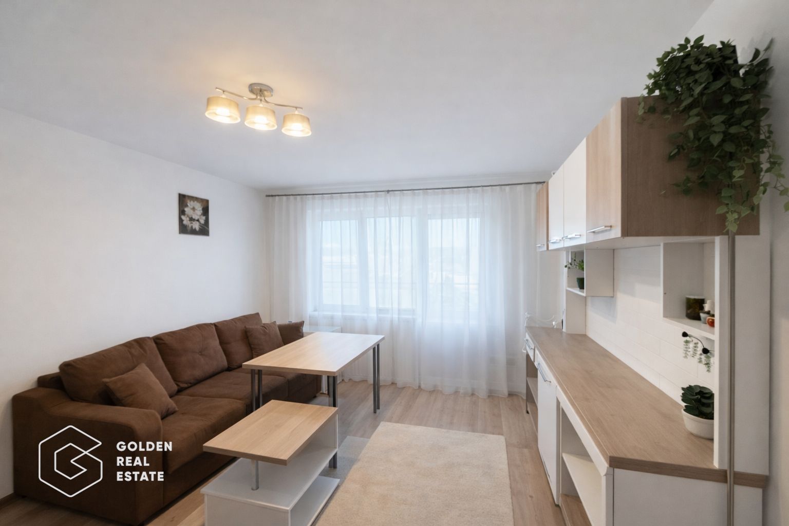 Apartament 2 camere, Calea Romanilor - Poză 3