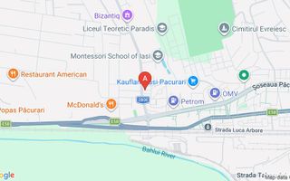 Apartament 1 camera Kaufland Pacurari - Poză 5