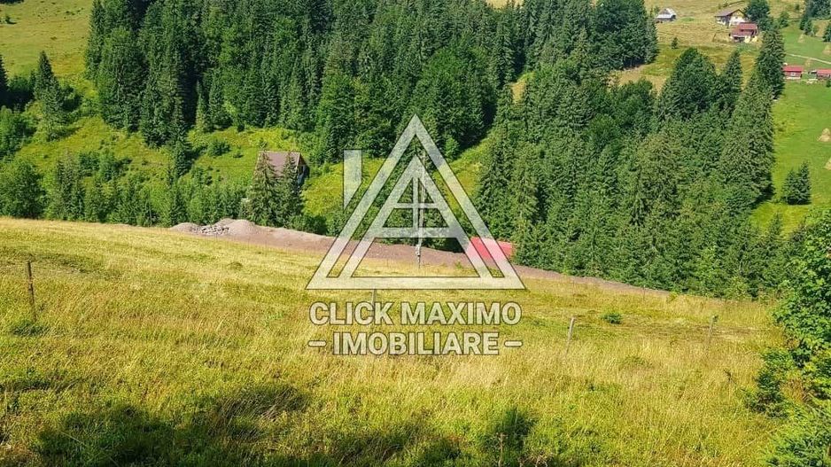 7130 mp TEREN INTRAVILAN ARIESENI-ALBA langa viitoarea partie de SCHI - Poză 2