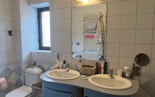 Vila Damaroaia - langa lacul Grivita - Poză 10