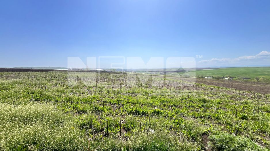 Teren Moara I 26Ari I Suceava/Moara I 7000 Euro/Ar - Poză 1