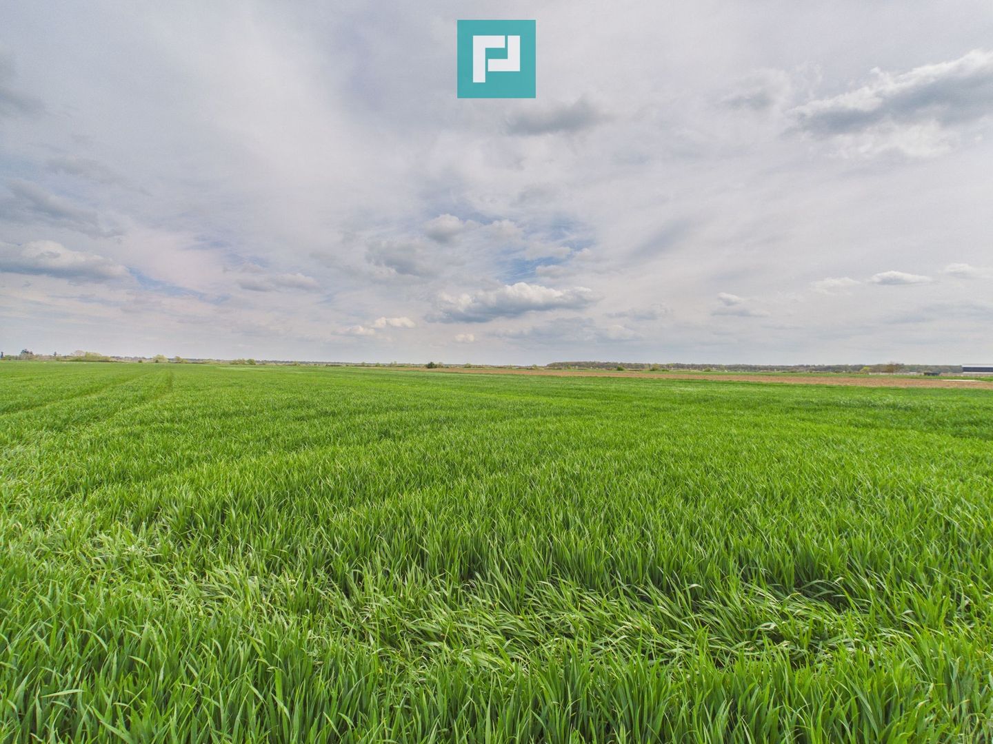 Teren extravilan 19.900 mp – Giroc centură - Poză 1