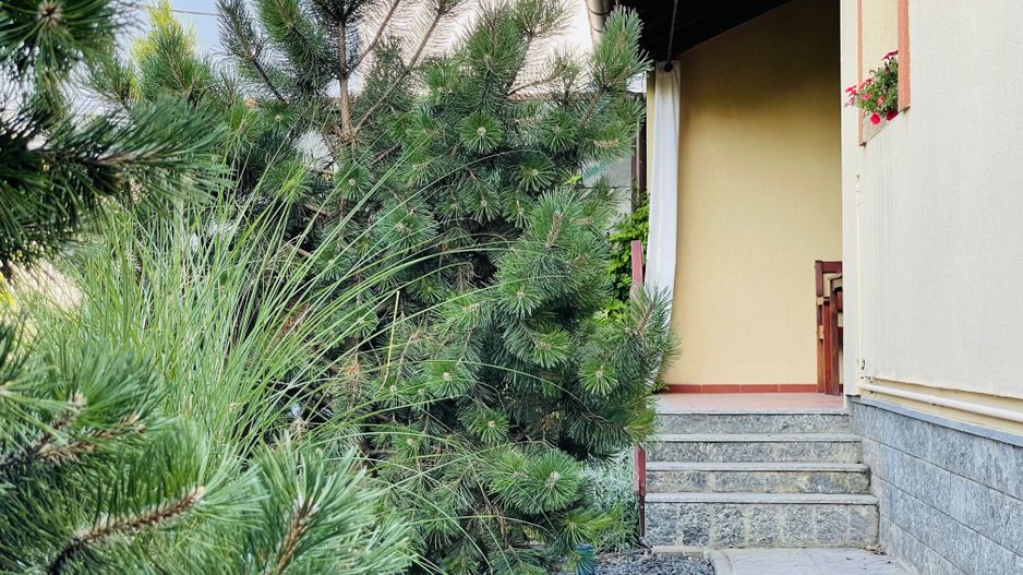 INCHIRIATA - Casa individuala cu 4 dormitoare, 184 mp | Garaj & Gradina | Fropin - Poză 46