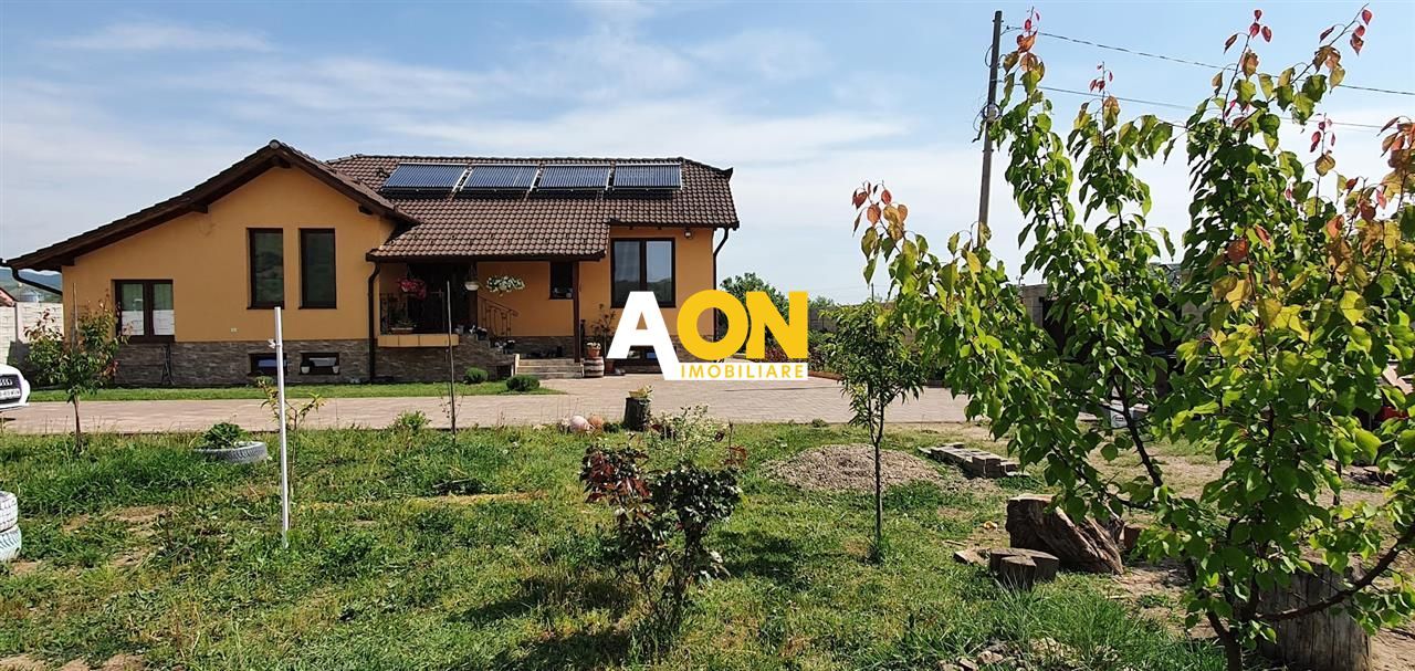 Casa parter+demisol, 1200 mp teren, pretabila pt 2 familii, Sard - Poză 2