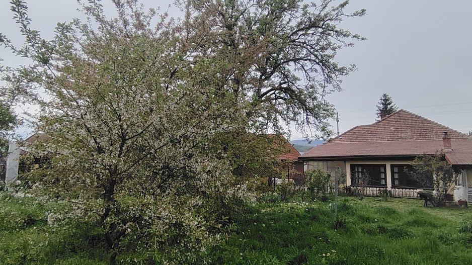 DE VANZARE CASA 5CAMERE ZONA CENTRALA TALMACIU - Poză 40