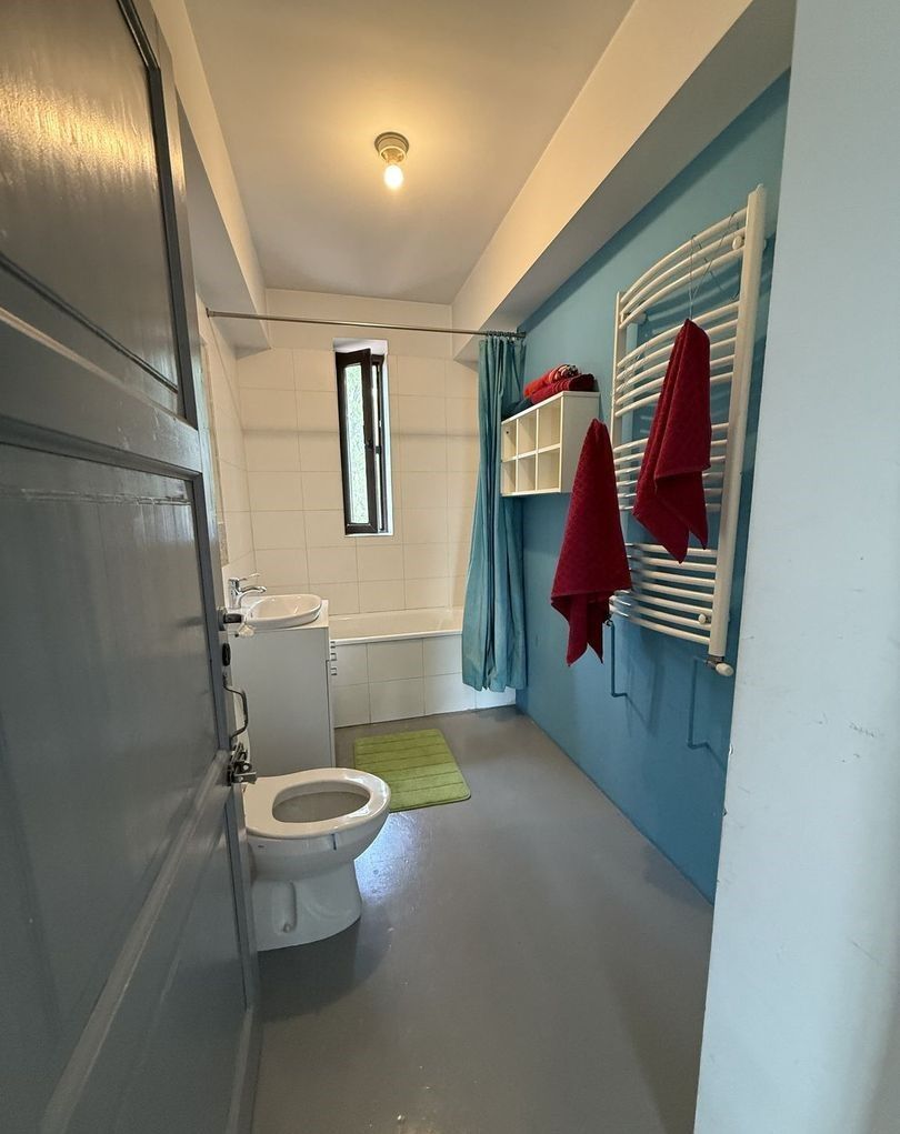 Vilă cu 6 camere de închiriat | Snagov - Vlădiceasca | Pet Friendly - Poză 10