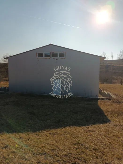 Teren 7500 mp + Hala metalica-ideal investitie-Brateni  EXCLUSIV - Poză 5
