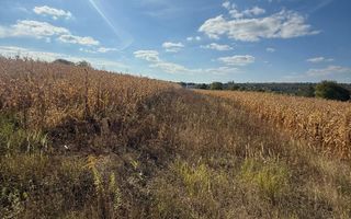 Teren 2500 de vanzare - Daia - Poză 2