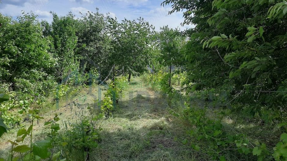 Teren intravilan de vanzare, 1.100 mp, intrare Chicerea, Iasi - Poză 1