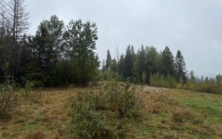 Teren Extravilan | 6.100 mp | Brodina | 41.500 € negociabil - Poză 6