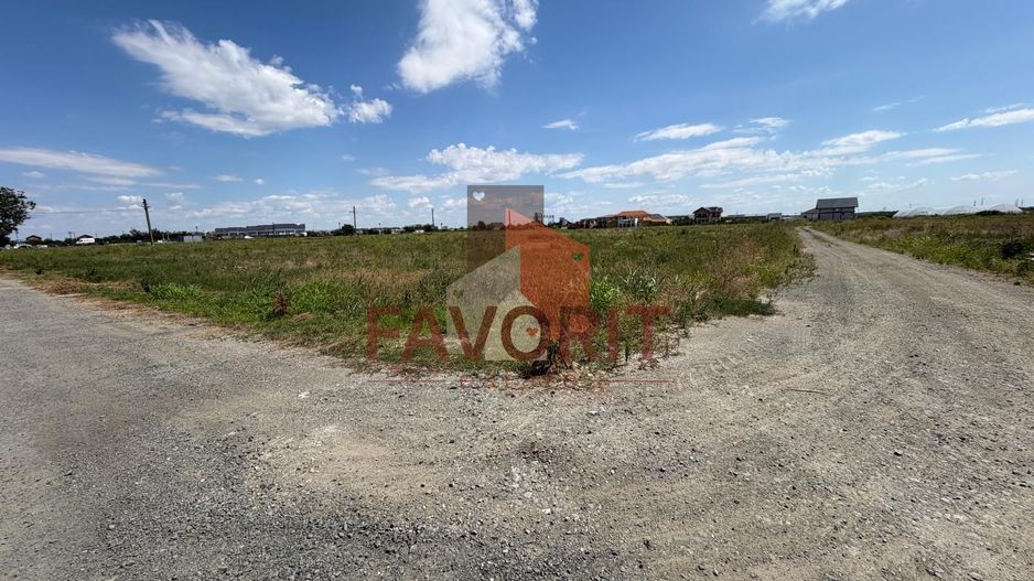 Terenuri in Sacalaz | Investitie | Spatiu comercial | Zona excelenta | - Poză 2