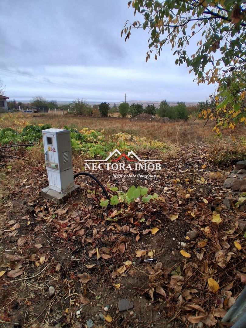 NECTORA IMOB-Teren Intravilan PALEU, 676 mp, Autorizatie Constructie - Poză 4