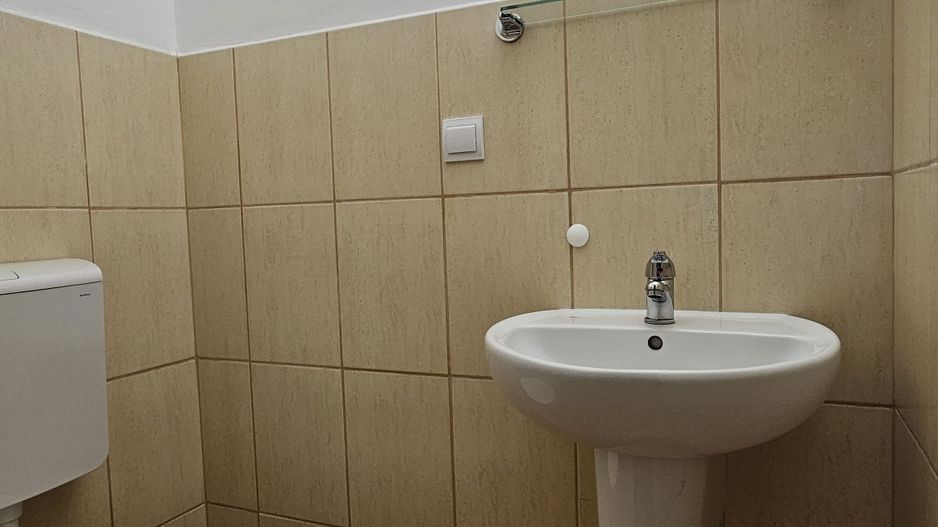 Apartament de inchiriat 6 camere 179 mp Etaj 2 + mansardă - Poză 7