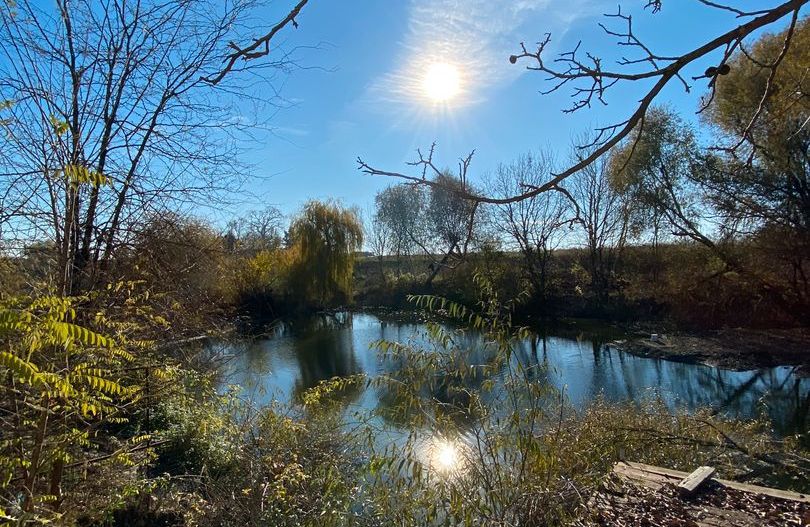 Best Residence - Poză 3