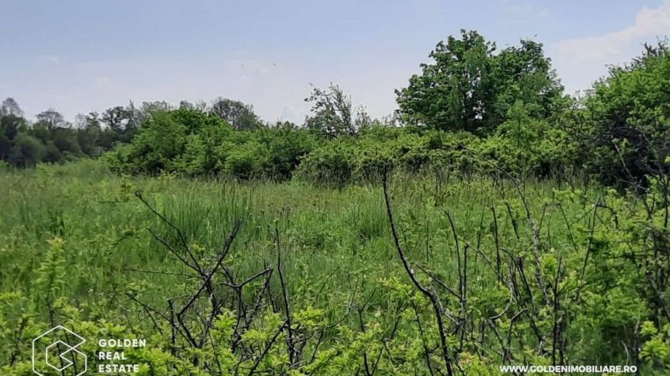 Teren intravilan 2880 mp, DJ 572 Lipova - Poză 3