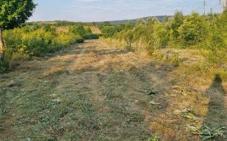 Teren intravilan de vânzare în Curături, comuna Ciurea, Iași - 4.000 mp - Poză 3