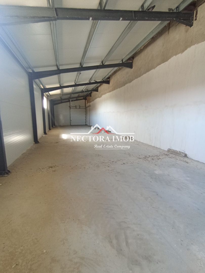 NECTORA IMOB-4 hale industriale noi, Zona Livada de Bihor, Curte mare - Poză 6