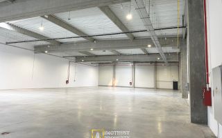 Hala industriala moderna – 1.162,05 mp depozit | Arad - Poză 5