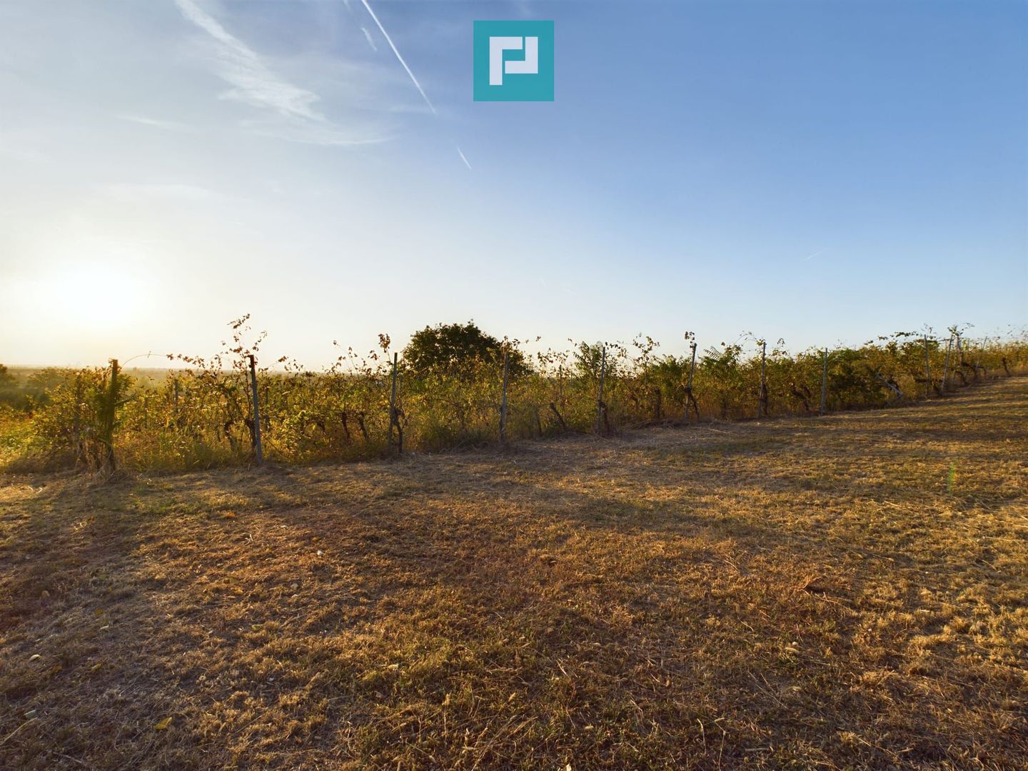 Spațiu comercial - Crama Pivnițele Birăuaș - Poză 25