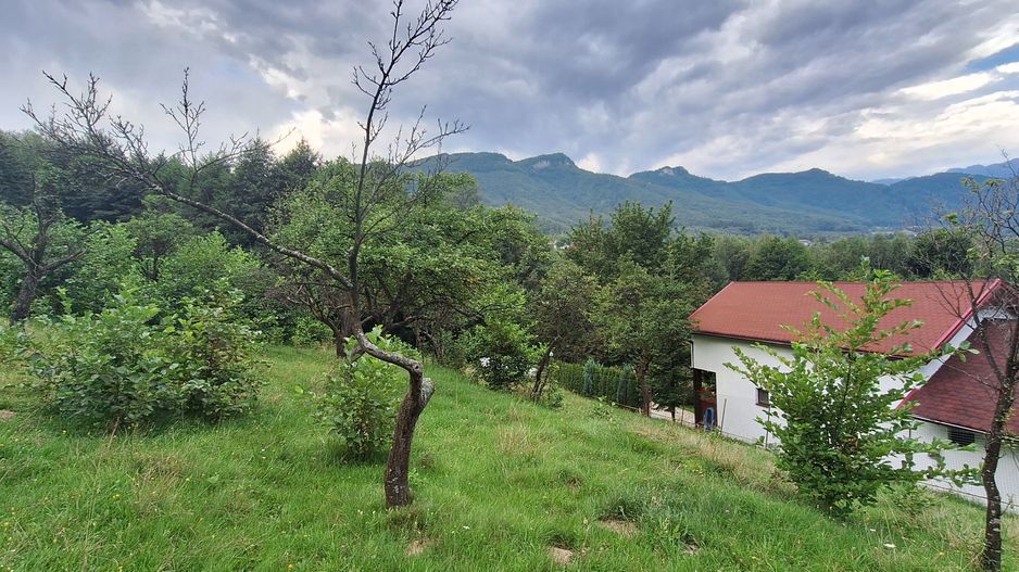 Bran-Predelut doua parcele de 2000+3000mp pret 25 euro/mp - Poză 12