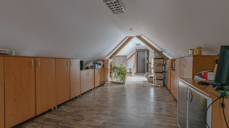 CASA BARTOLOMEU- sediu firma/ comercial/ servicii- zona circulata - Poză 8