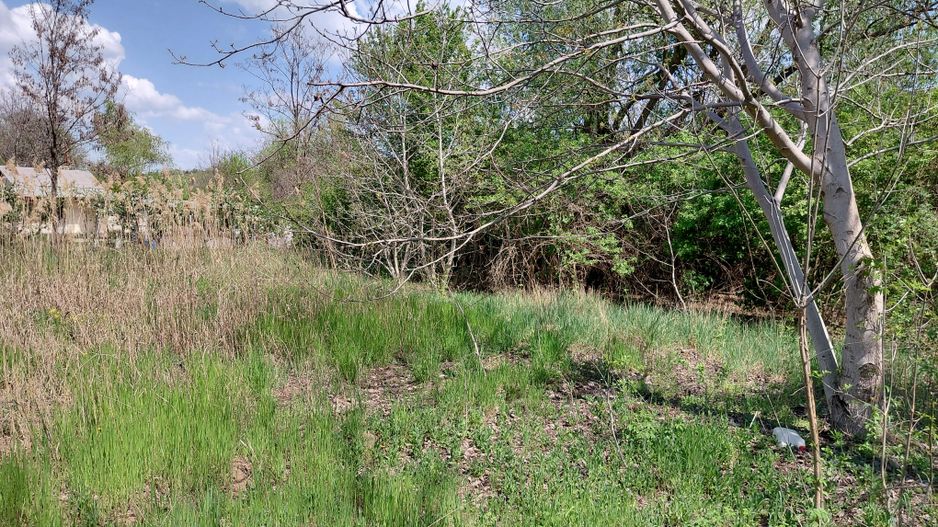 Teren intravilan 3.250 mp în Filești – Ideal pentru casă sau investiție! - Poză 15