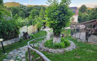 Vila Horezu Romanii de Jos - Poză 44