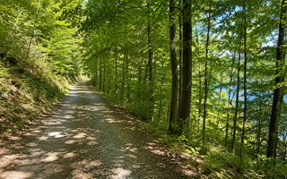 Teren intravilan cu acces la Lacul Tarnița – Somesu Cald - Poză 3