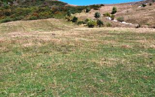 Teren extravilan situat în Cristian - Poză 3