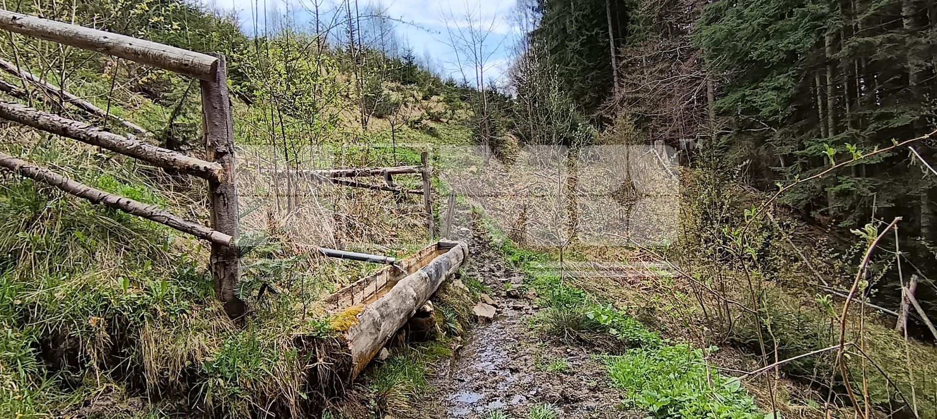 Teren Intravilan | Brodina de Jos | 16900 MP - Poză 11