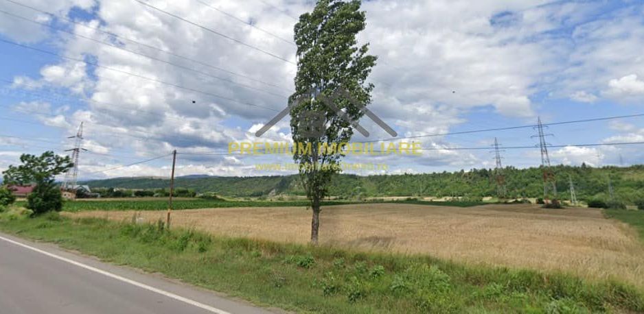 Teren in Onesti 10000 mp - Poză 2