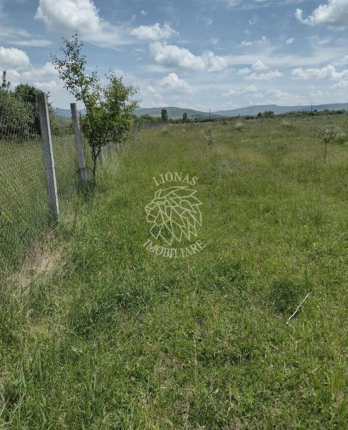 Teren 23700 mp (2,37 ha)-ideal investitie,cabana-Sesul Jelnei - Poză 3