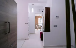 CASA DEOSEBITA IN ZONA REZIDENTIALA - PLANTELOR - MANTULEASA - ARMENEASCA - Poză 19