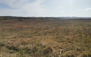 Vanzare teren arabil 22 Ha, plan, Arges, Moraresti - Poză 5