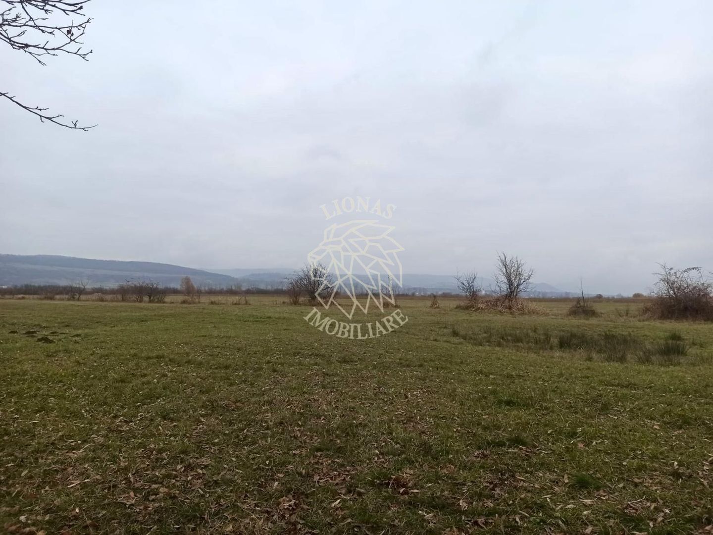 Teren 19611 mp (1,96 Ha)-ideal agricultura, investitie-Zona Aerodrom - Poză 3