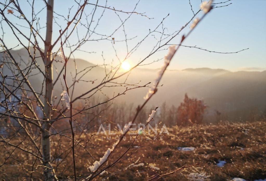 OPORTUNITATE | Teren intravilan | 34.625 mp | Plopi - Valea Ierii - Poză 9