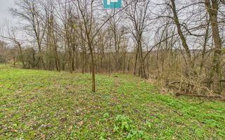 Casă cu teren de 24.679,73 mp, în Hălmagiu, Arad - Poză 35