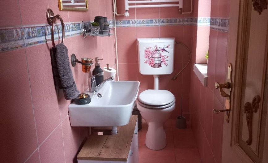 Apartament in vila Gradina Icoanei - Poză 4