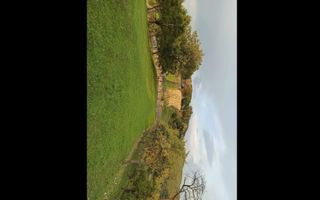 Proprietate cu 60000 mp pamant la pret de apartament - Poză 7