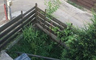 Apartament 2 camere de inchiriat, Valea Adanca, mobilat si utilat, terasa mare, curte, intrare separata, 290 Euro/luna - Poză 3
