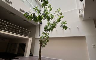 Spațiu de birouri de 300mp de închiriat în zona Centrala - Poză 13